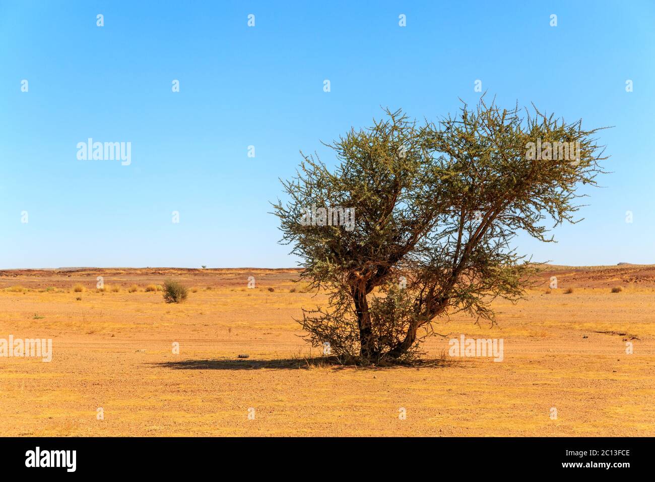 Schönen marokkanischen Berglandschaft mit Akazie im Vordergrund Stockfoto