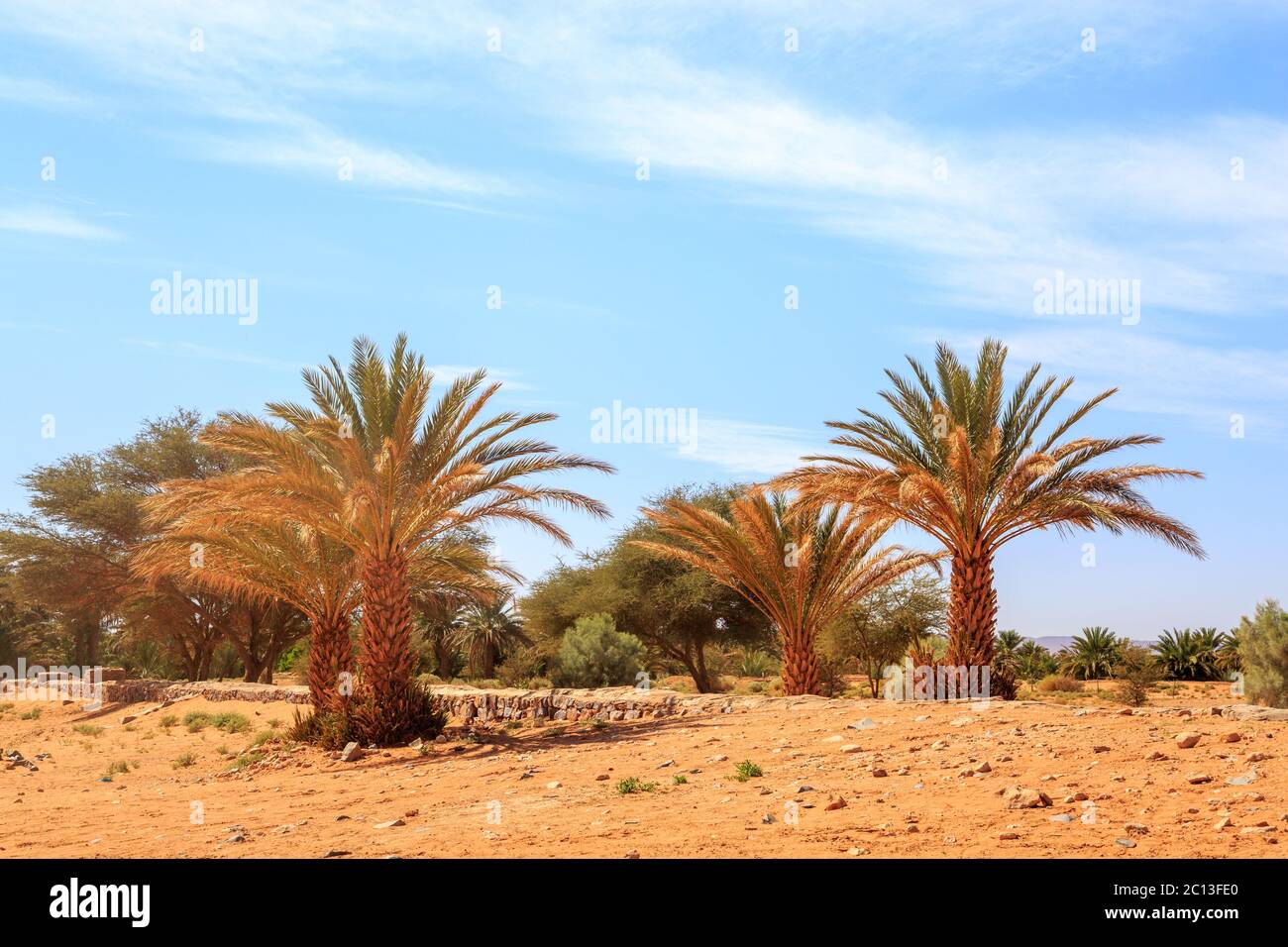 Schönen marokkanischen Berglandschaft in der Wüste mit Oasis Stockfoto