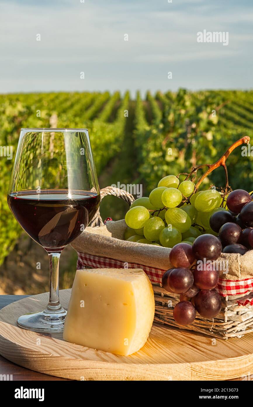 Nahaufnahme von Glas Rotwein vor einem Weinberg Stockfoto