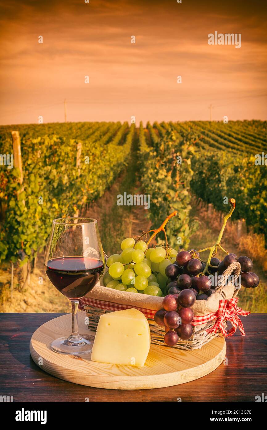 Glas Rotwein vor einem Weinberg bei Sonnenuntergang Stockfoto