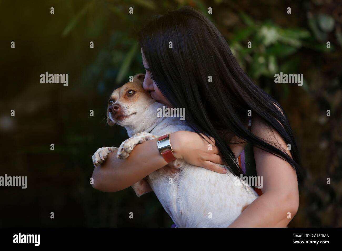 Erwachsene Brünette weiße Frau spielt mit ihrem Hund Haustier Stockfoto