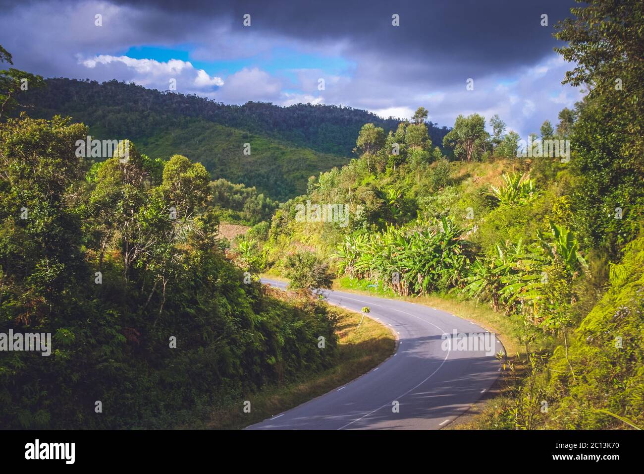 Straße in der Tropen Stockfoto