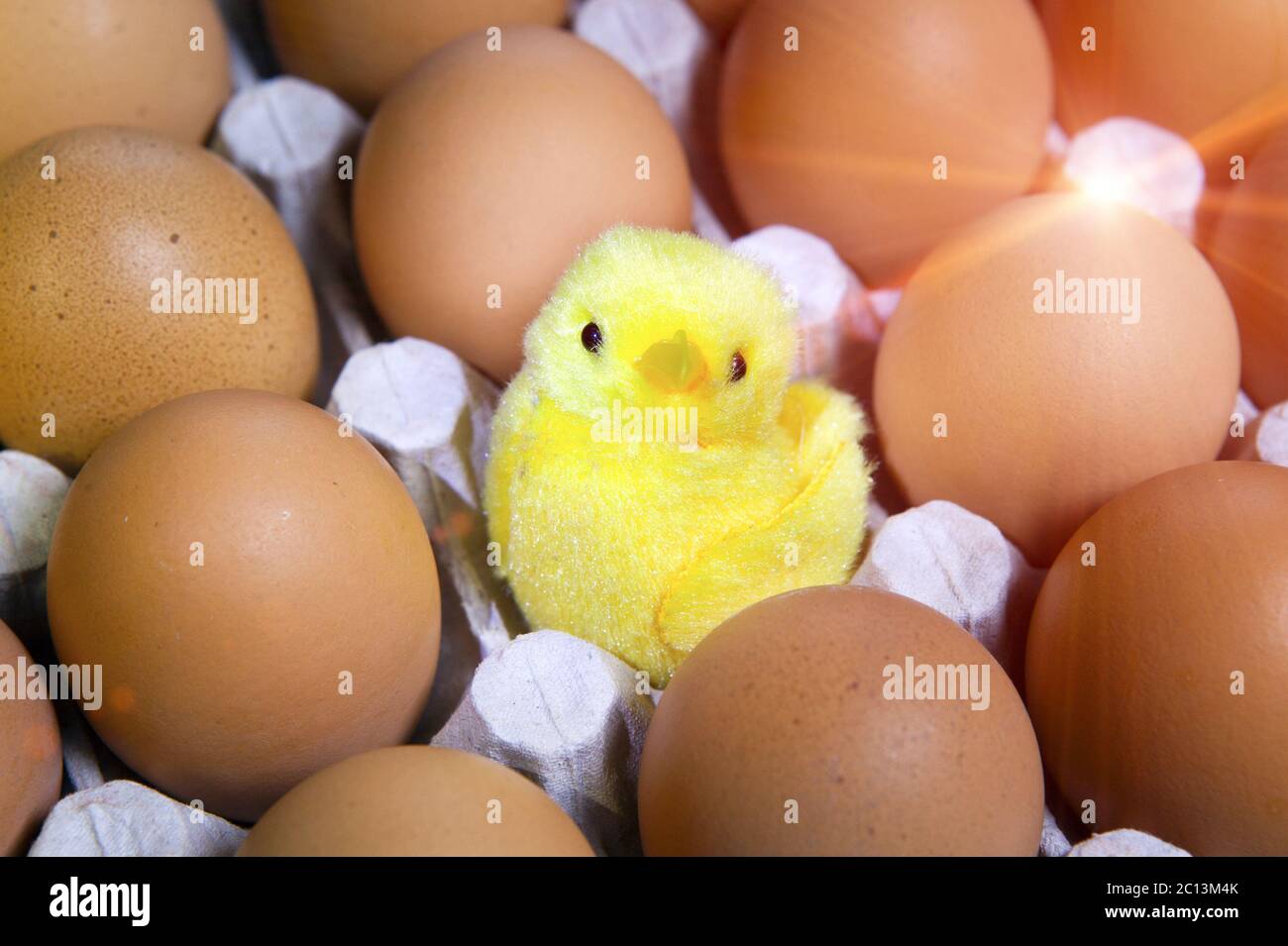 Spielzeug Huhn in Schale Ei zwischen Eiern in der Verpackung Stockfoto