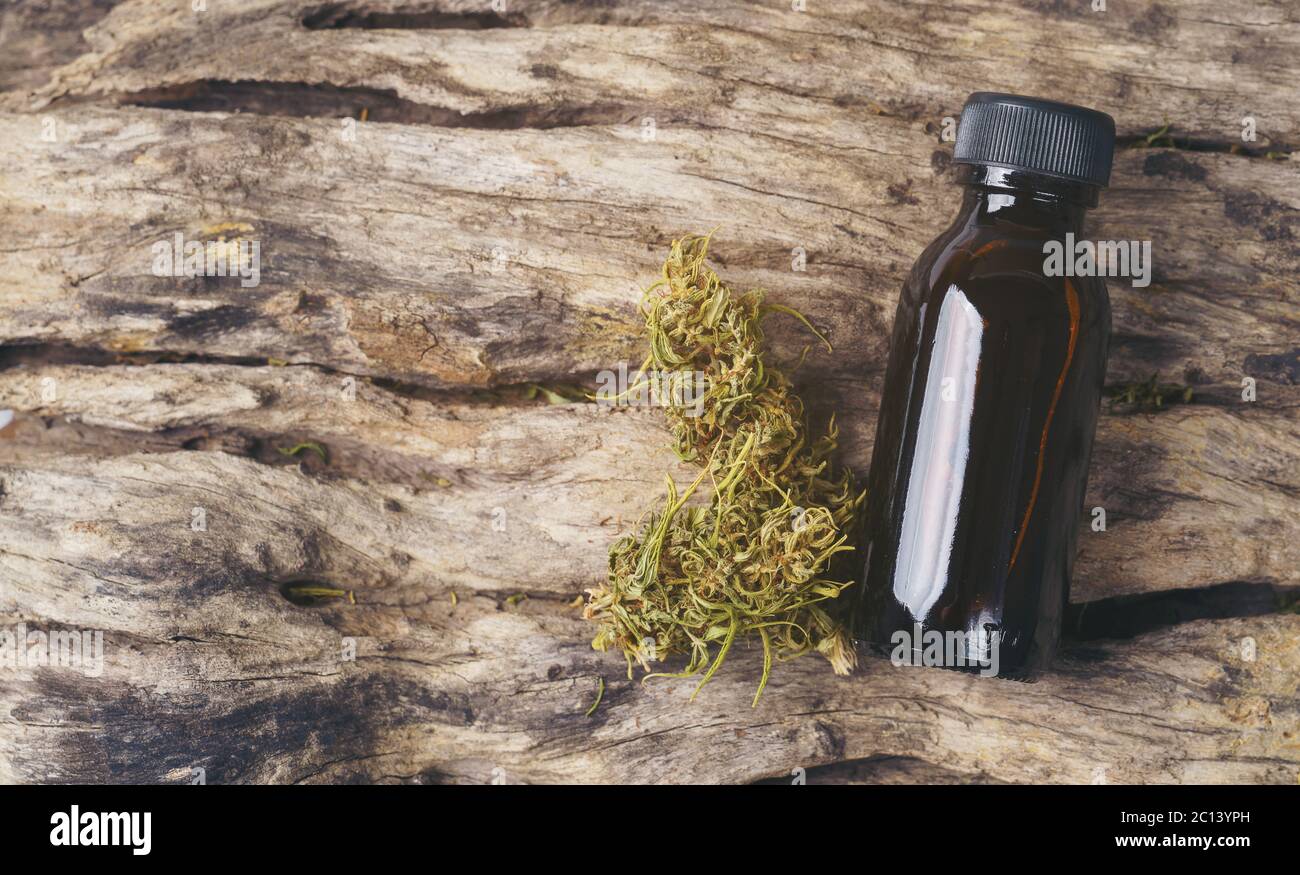Getrocknetes medizinisches Marihuana mit CBD und THC-Extrakt Stockfoto