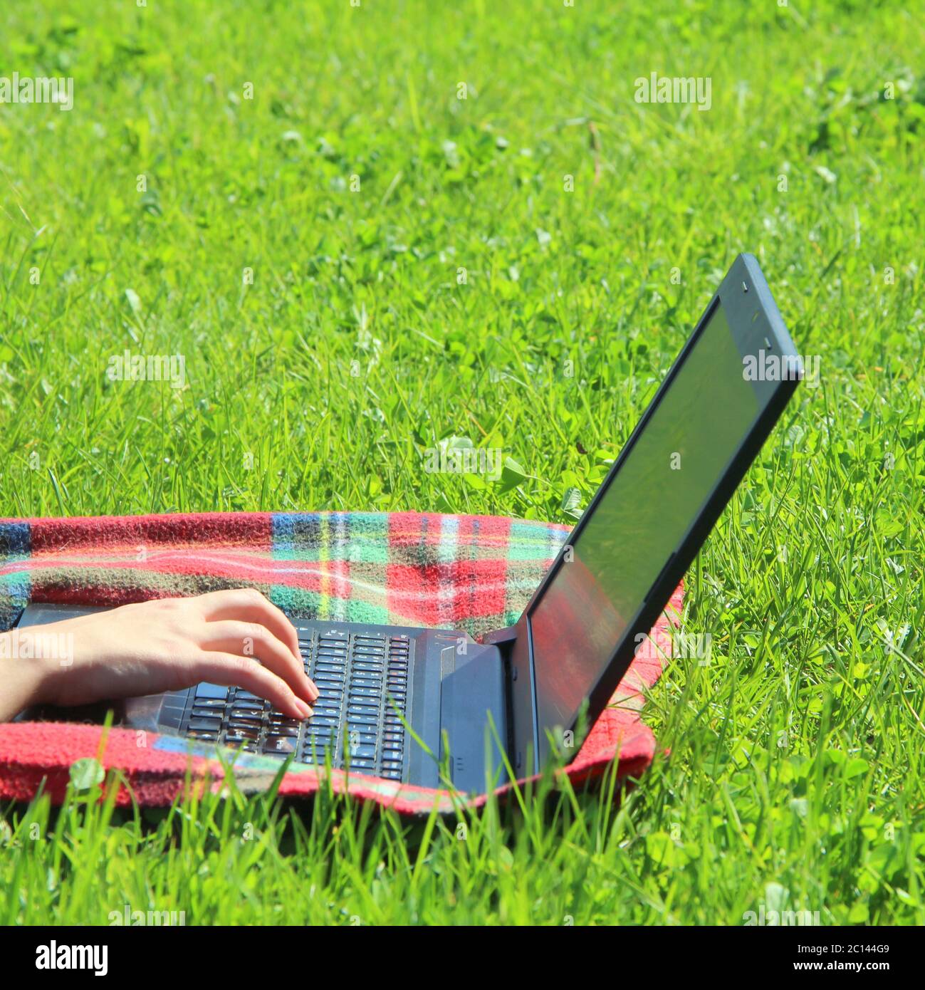 Der Laptop ist auf dem grünen Gras auf einem rot karierten Karomuschel, das Mädchen arbeitet am Computer auf dem Rasen. Die Hand des Mannes ist auf der Tastatur. Stockfoto