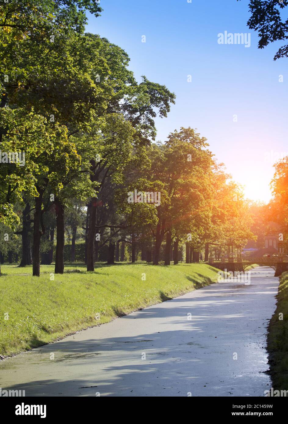 Mit einem Kanal Wasserlinsen überwachsen. Catherine Park. Puschkin (Zarskoje Selo). Petersburg Stockfoto