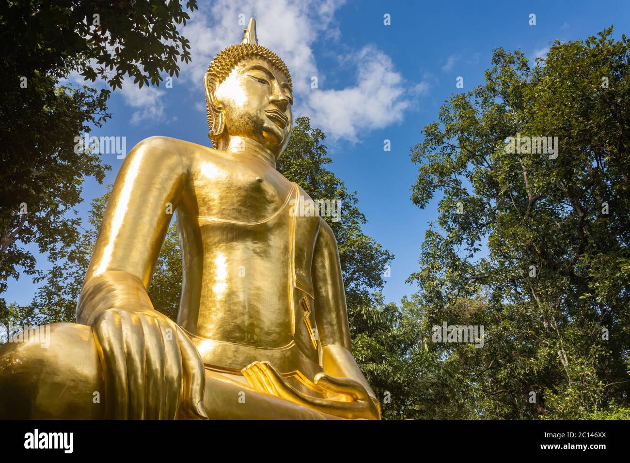 Phayao, Thailand - 24. Nov 2019: Goldene Buddha Statue auf grünem Baum und blauem Himmel Hintergrund mit natürlichem Licht am linken Rahmen Stockfoto