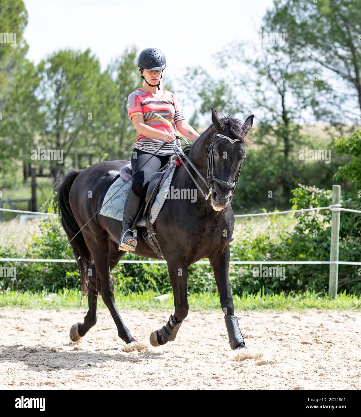 Reiten Mädchen sind die Ausbildung ihr Pferd im Reitzentrum Stockfoto
