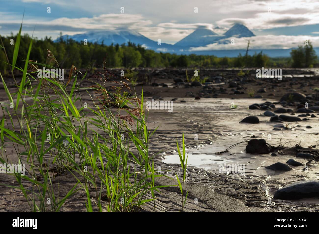Blick auf Vulkane: Klyuchevskaya Sopka, Besymjanny, Kamen vom Fluss Studenaya in der Morgendämmerung. Kamtschatka-Halbinsel. Stockfoto