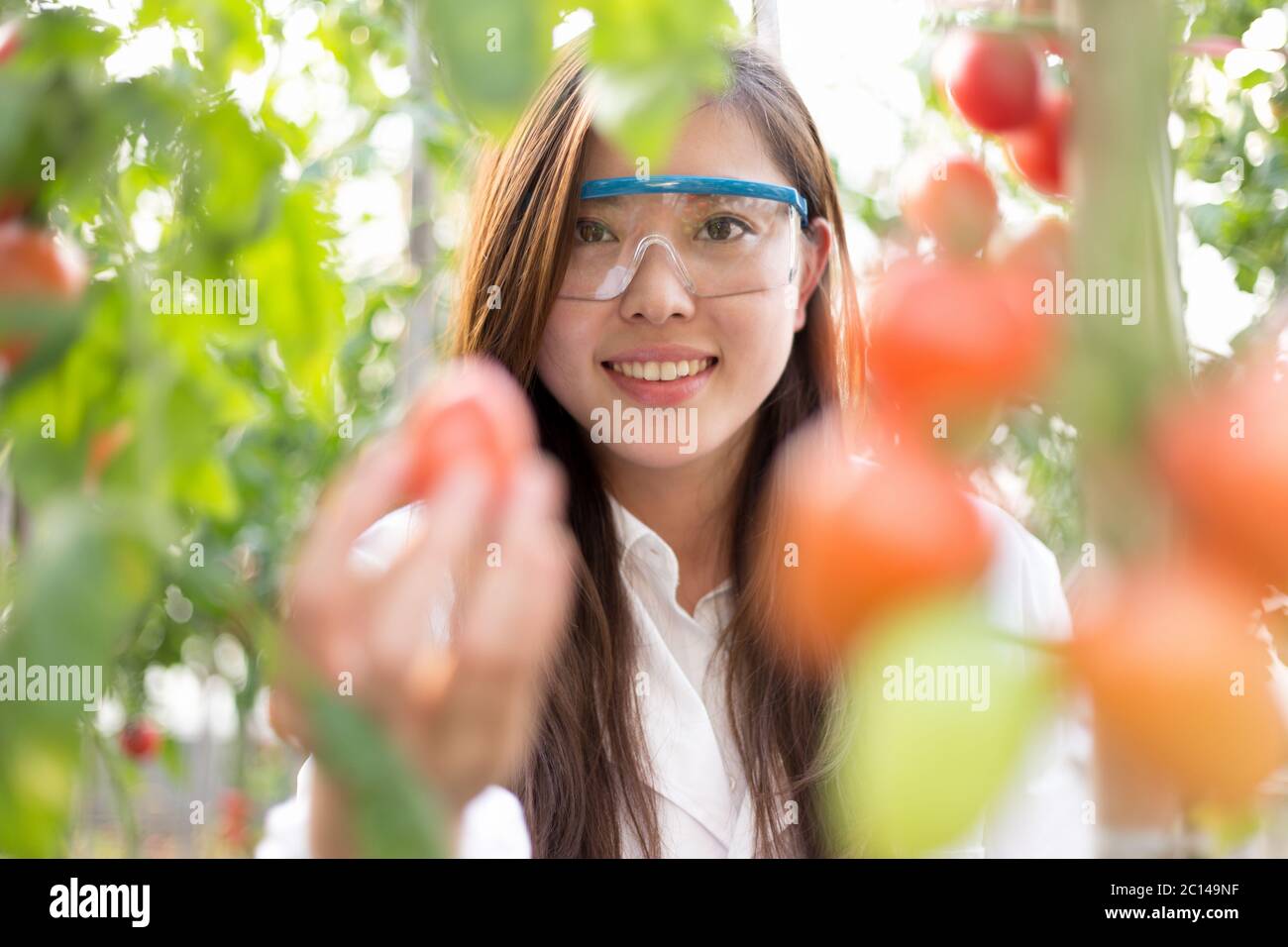 Junge schöne asiatische Frau arbeitet im grünen Feld Stockfoto