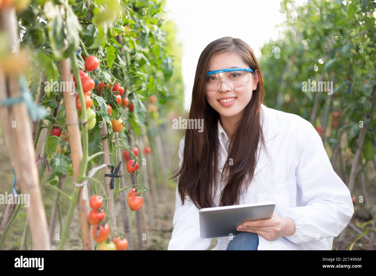 Junge schöne asiatische Frau arbeitet im grünen Feld Stockfoto