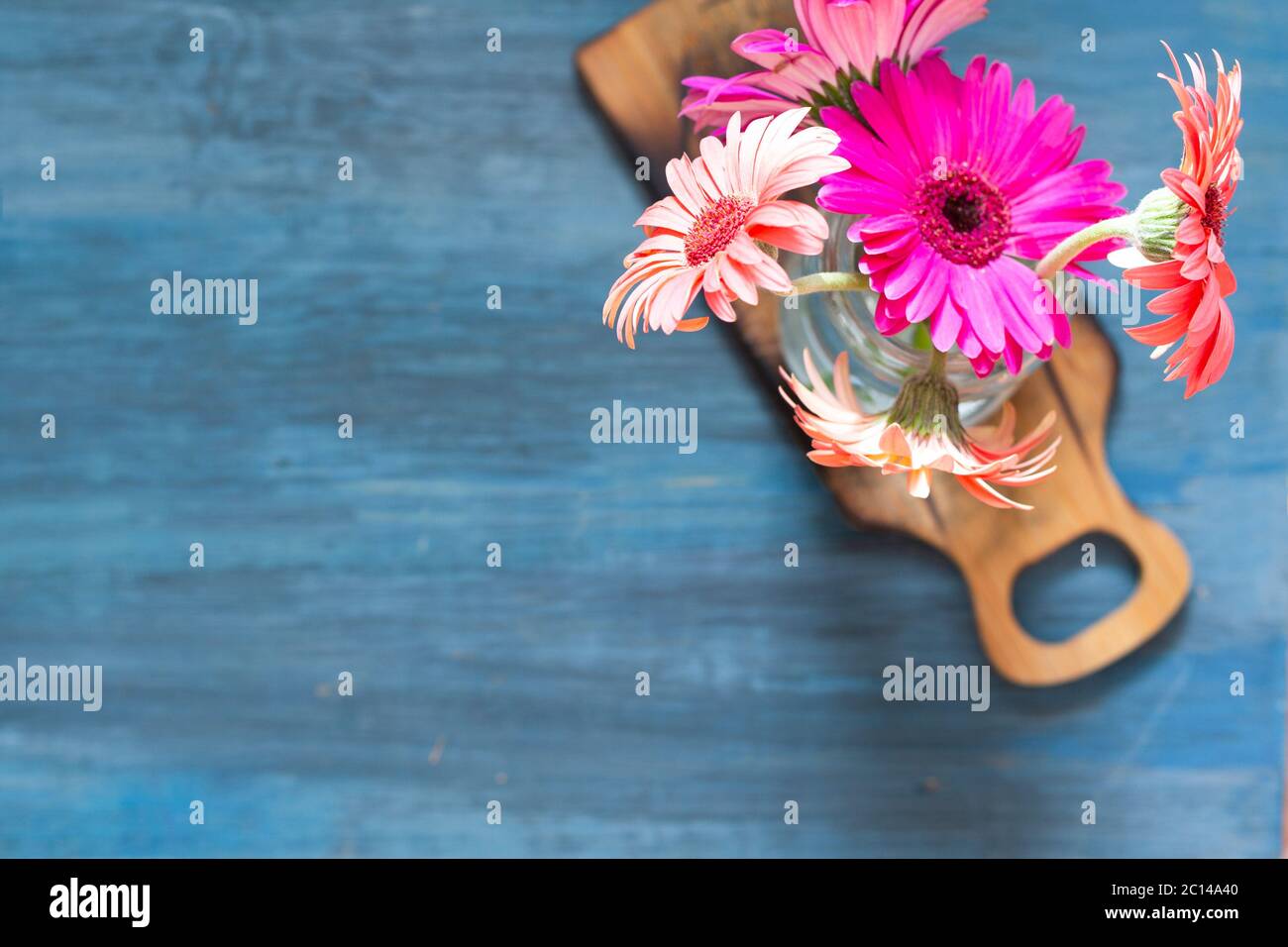 Top-Aufnahme von rosa Blumen auf einem blauen Hintergrund und auf einem kleinen Tisch, minimal. Stockfoto