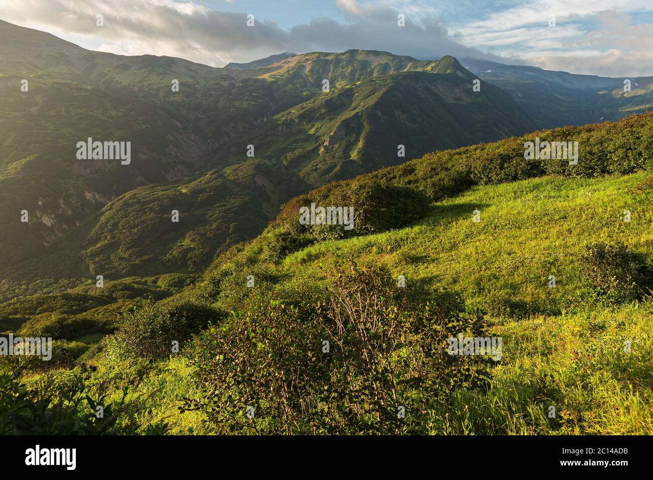 Brookvalley Spokoyny am Fuße des äußeren nordöstlichen Hang des Caldera Vulkans Goreli. Stockfoto