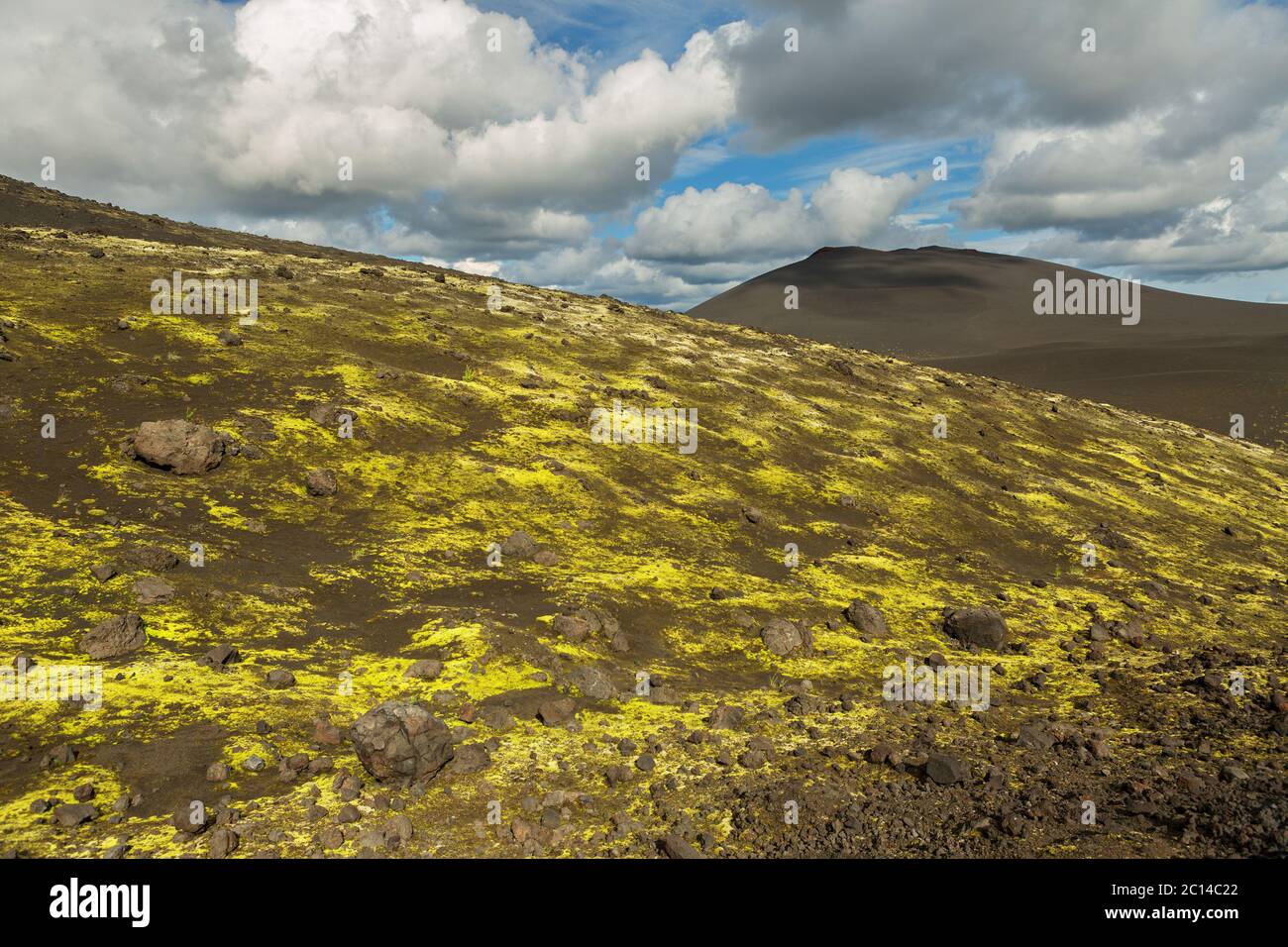 Schlackenfelder und Zapfen mit Moos bedeckt. Norddurchbruch Große Tolbachik-Spaltausbruch 1975 Stockfoto