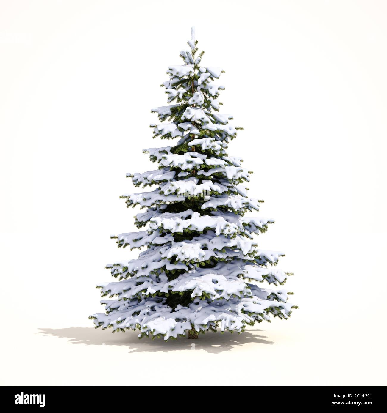 Weißer Weihnachtsschnee Stockfoto