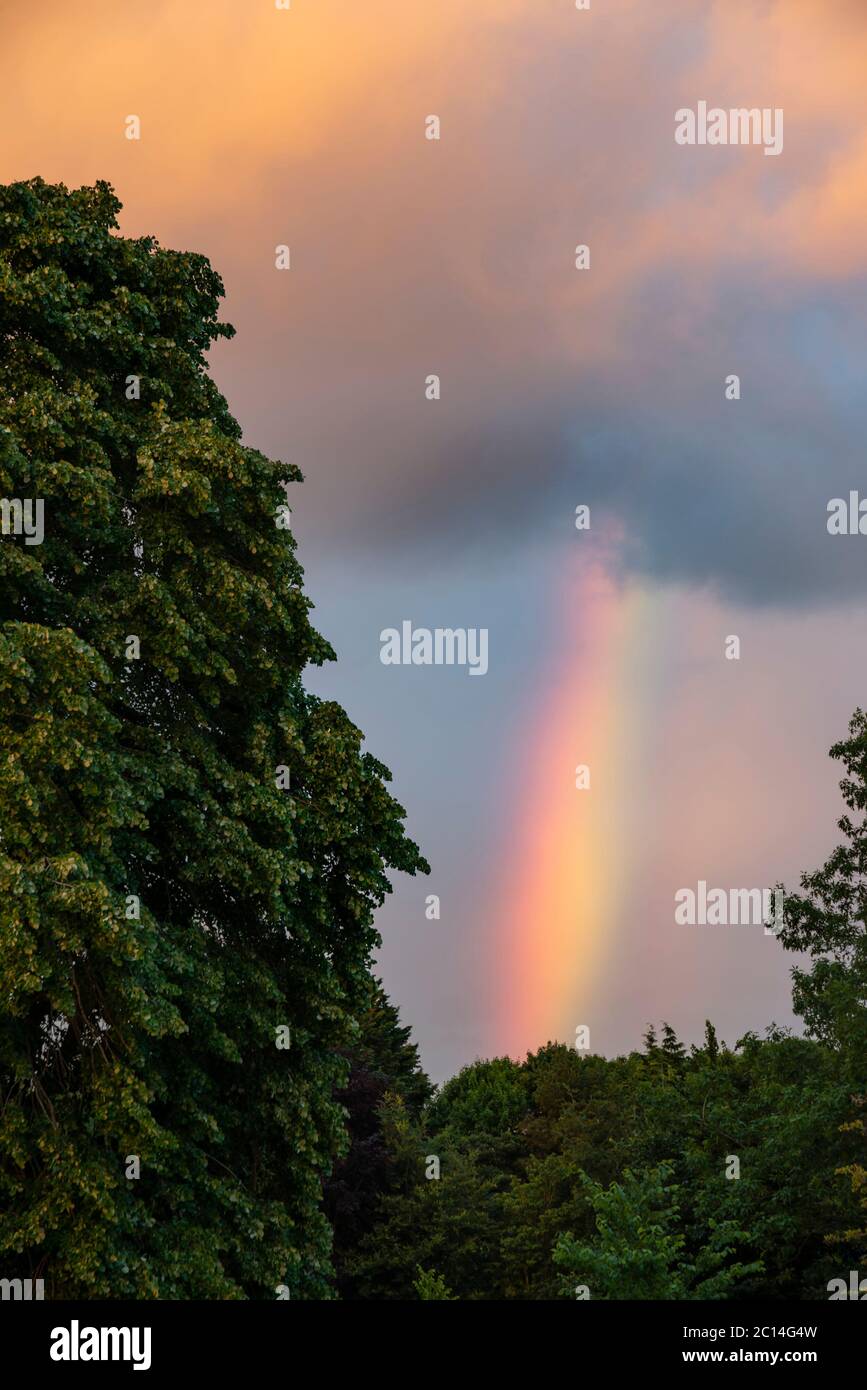 Atemberaubender, lebendiger Regenbogen im Sonnenuntergang über der Baumgrenze im Sommer Stockfoto
