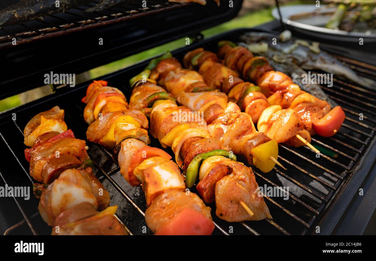 Köstliche gegrillte Gemüse- und Fleischspieße in einer Kräutermarinade auf dem Grill, draußen. Leckere Speisen auf Spieße braten Stockfoto