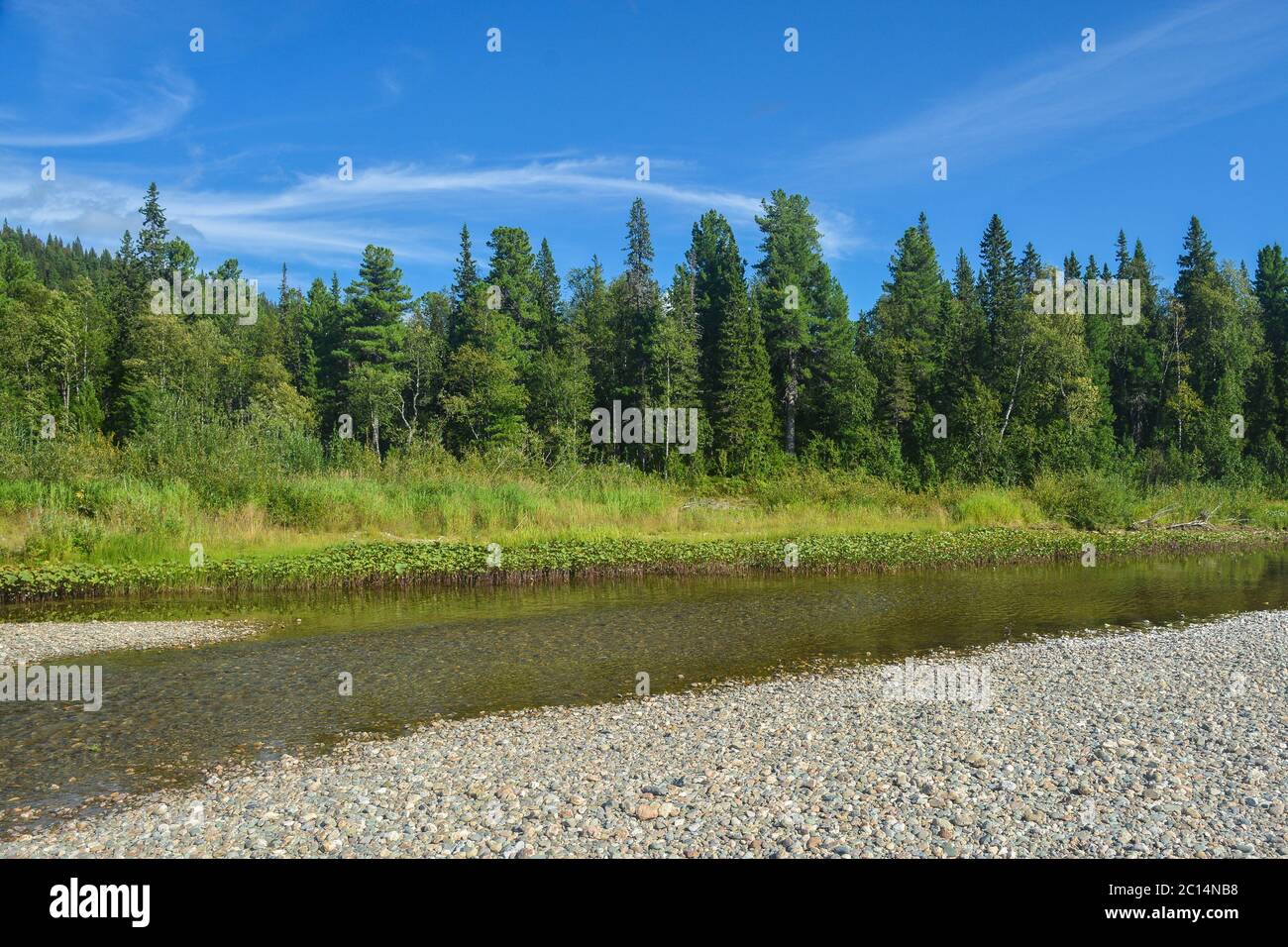 Komi Urwälder. Taiga Fluss im Yugyd va Nationalpark im Norden des Urals. Stockfoto