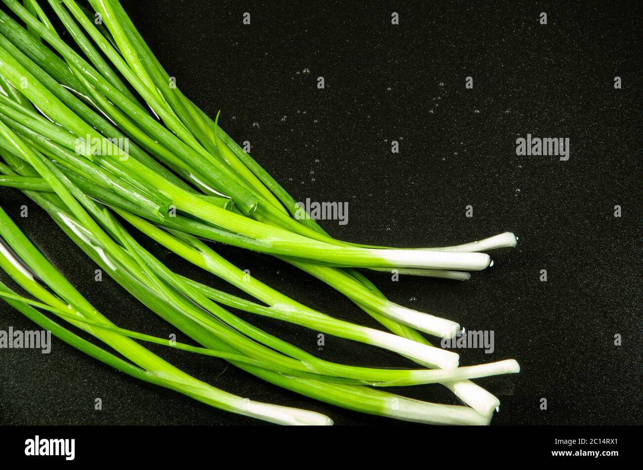 Grüner Lauch im Waschbecken zum Waschen auf dunklem Hintergrund zum Kochen  mit freiem Platz Stockfotografie - Alamy