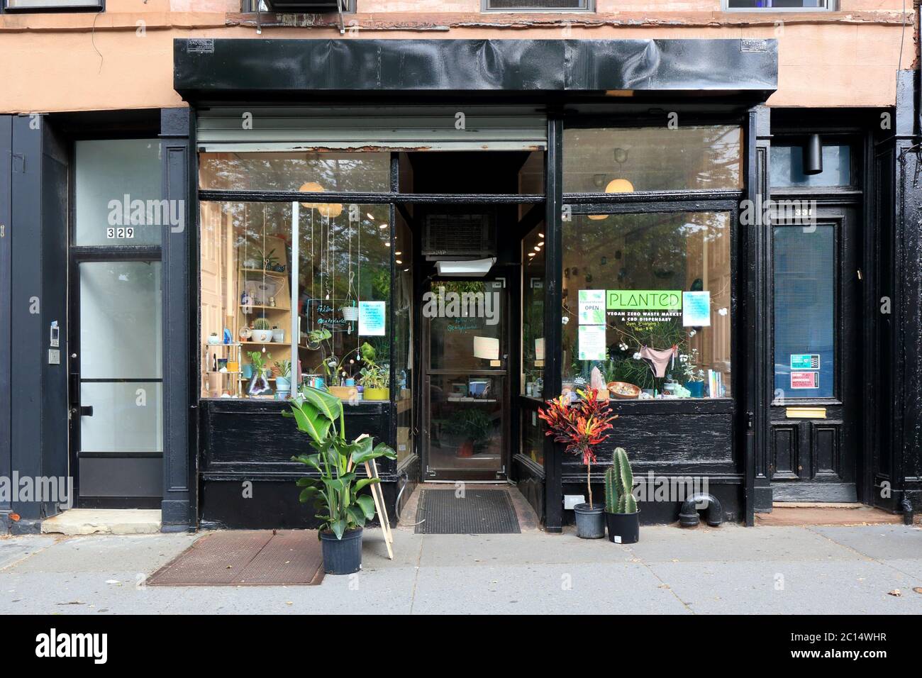 Gepflanzt Market, 331 Smith Street, Brooklyn, New York. NYC-Schaufensterfoto eines veganen Null-Abfall-Marktes in Carroll Gardens mit einem Café nebenan Stockfoto