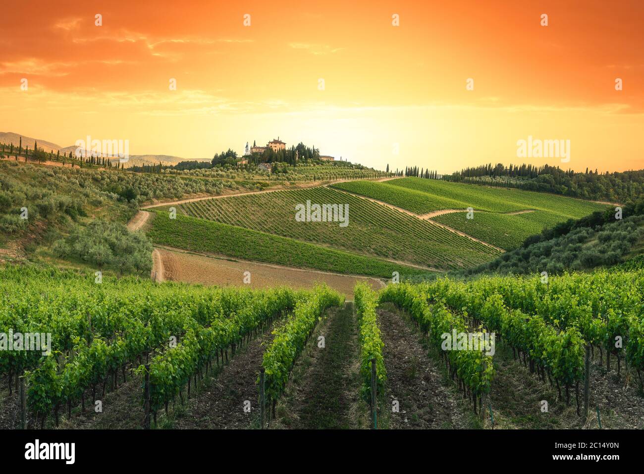 Weinberge bei Sonnenuntergang, Toskana, Italien. Chianti-Region Stockfoto