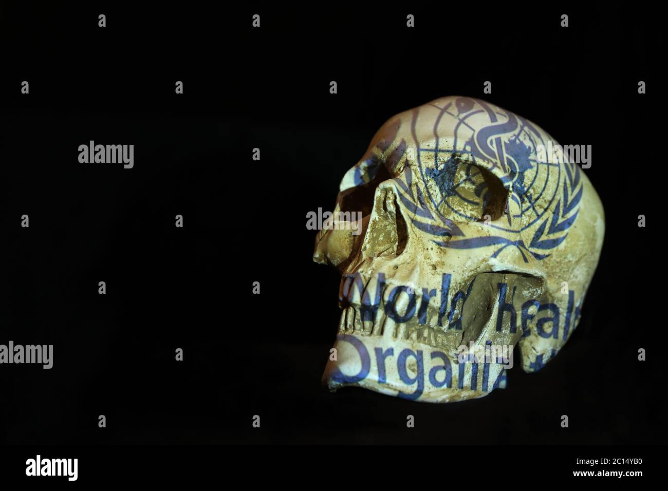 Ein isolierter Schädel und schlichter schwarzer Hintergrund mit dem Logo der Weltgesundheitsorganisation WHO, das darauf projiziert wurde. Corona Virus covid-19 Konzept Stockfoto