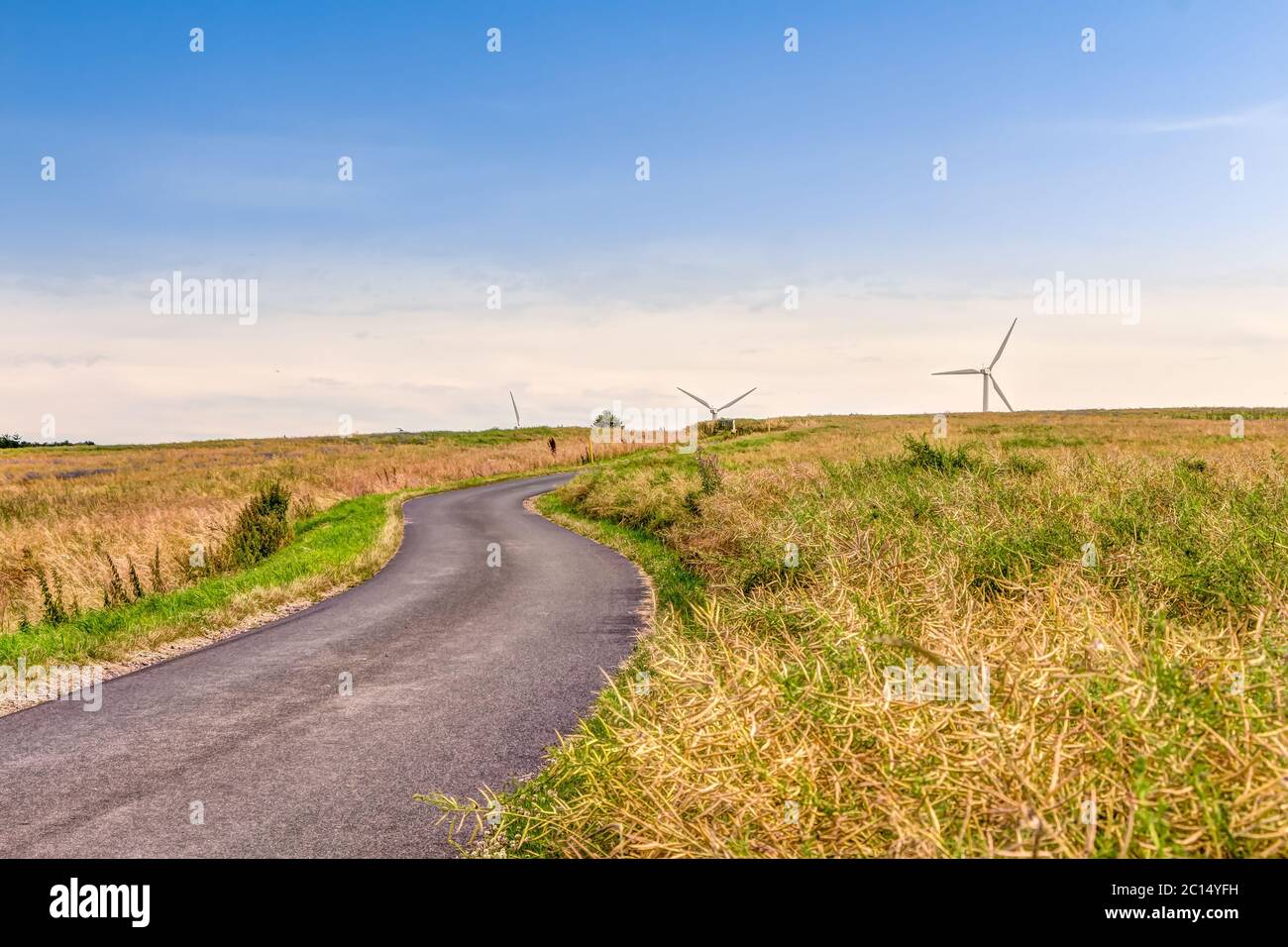 Straße durch Wiese und moderne Windräder für ökologische Energieerzeugung im Hintergrund Stockfoto