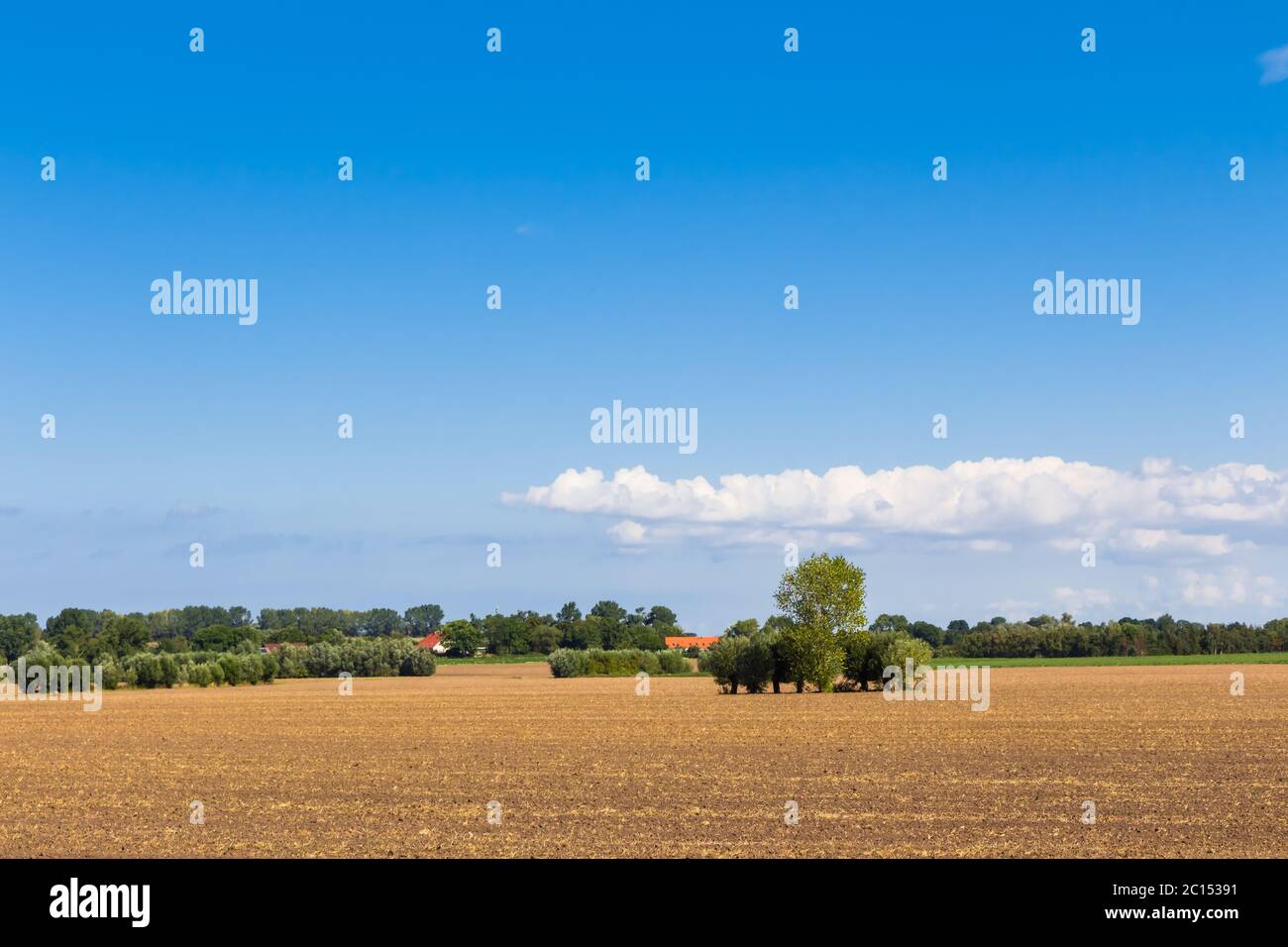 Landwirtschaftliche Fläche im Sommer mit blauem Himmel und weißen Wolken in Deutschland Stockfoto
