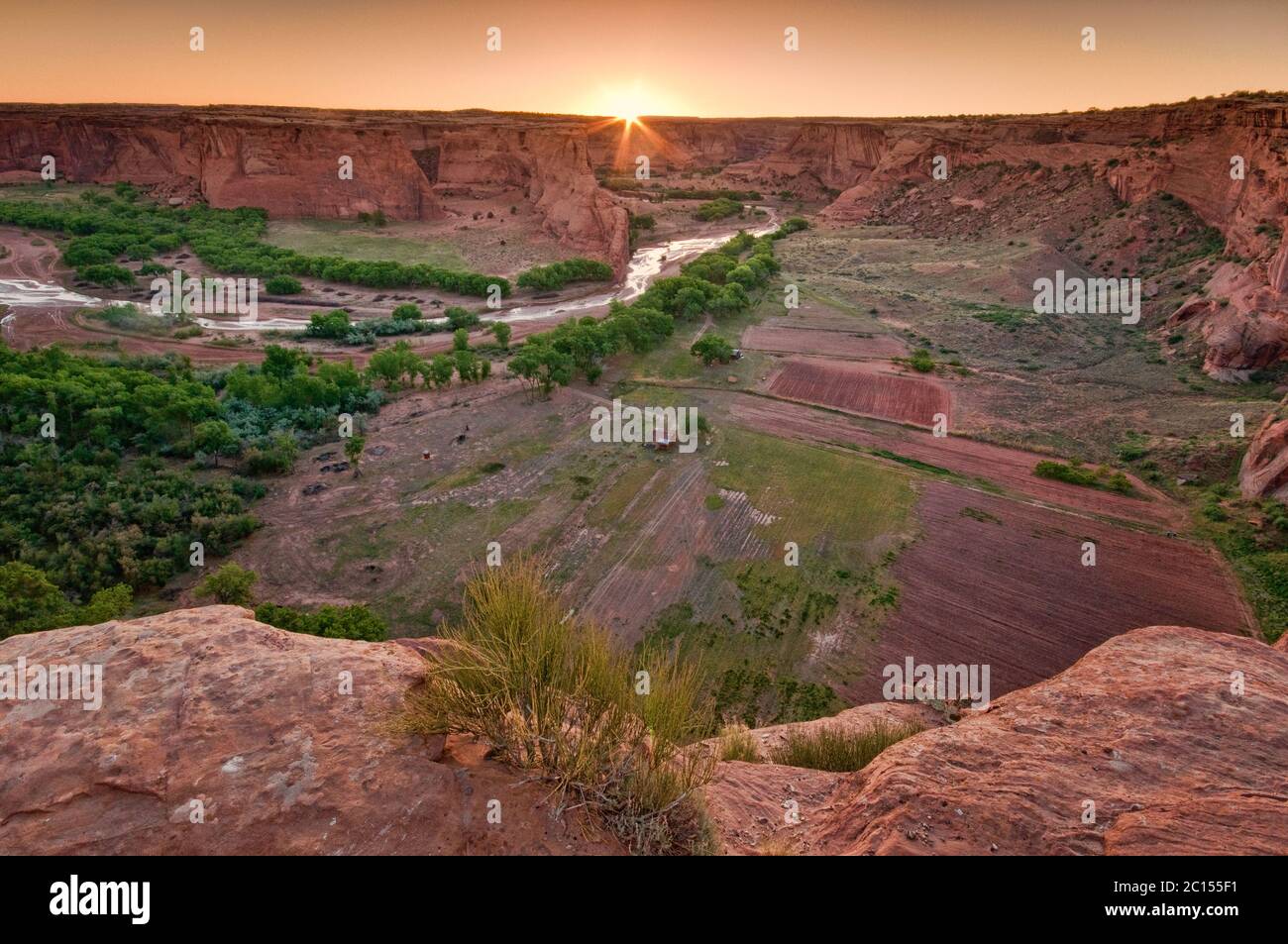 Landwirtschaftliche Felder am Canyon de Chelly von Tsegi aus blicken auf Sonnenaufgang, Canyon de Chelly National Monument, Navajo Indianerreservat, Arizona, USA Stockfoto