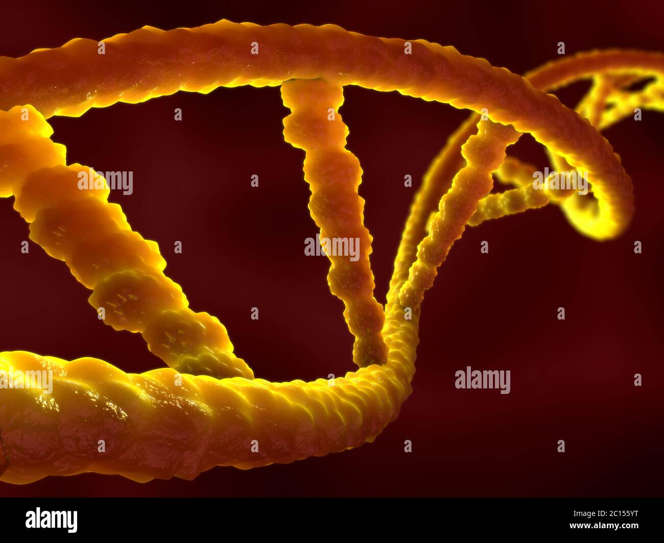Abbildung einer Ribonukleinsäure oder DNA-Strang Stockfoto