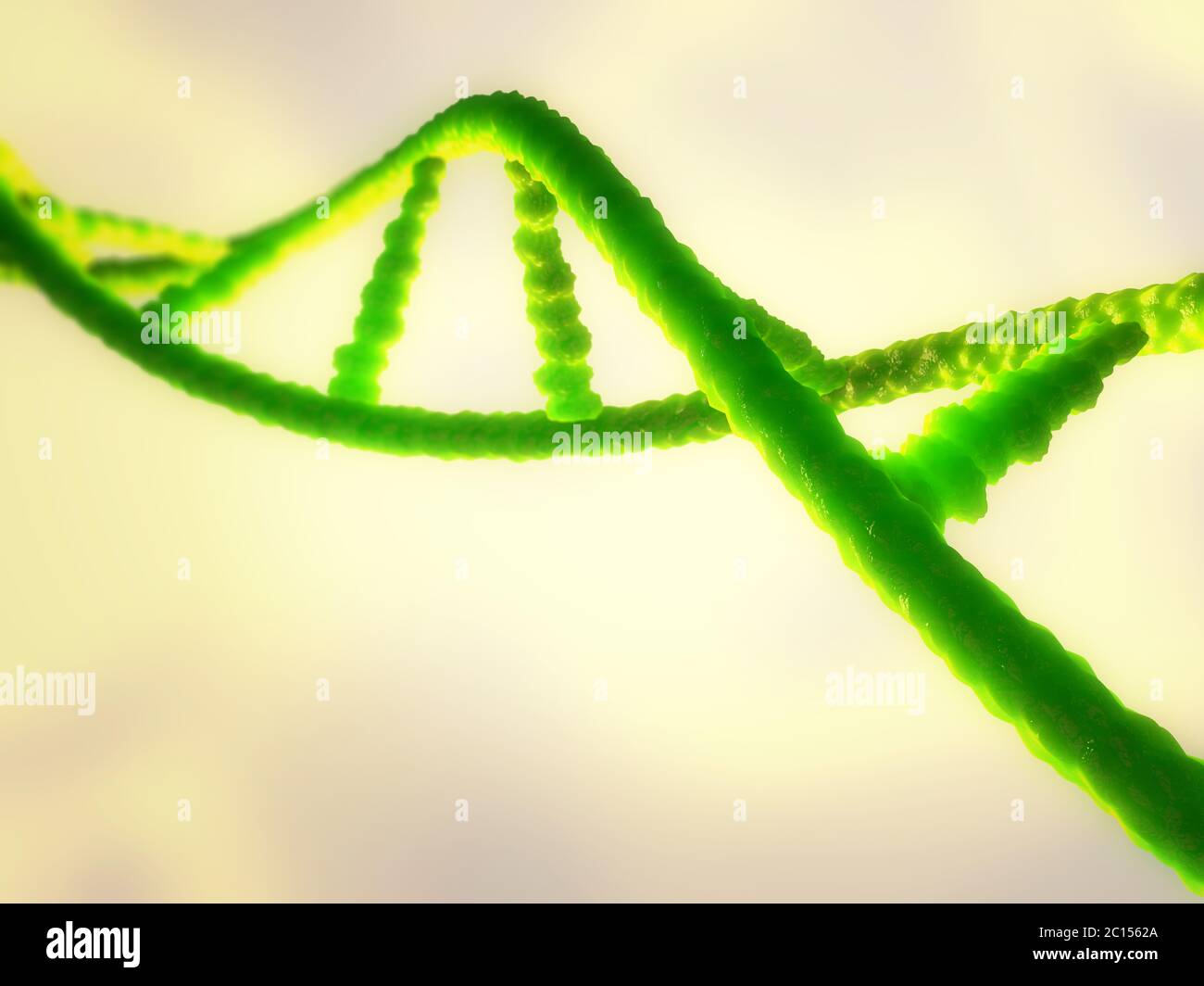 Abbildung einer Ribonukleinsäure oder DNA-Strang Stockfoto