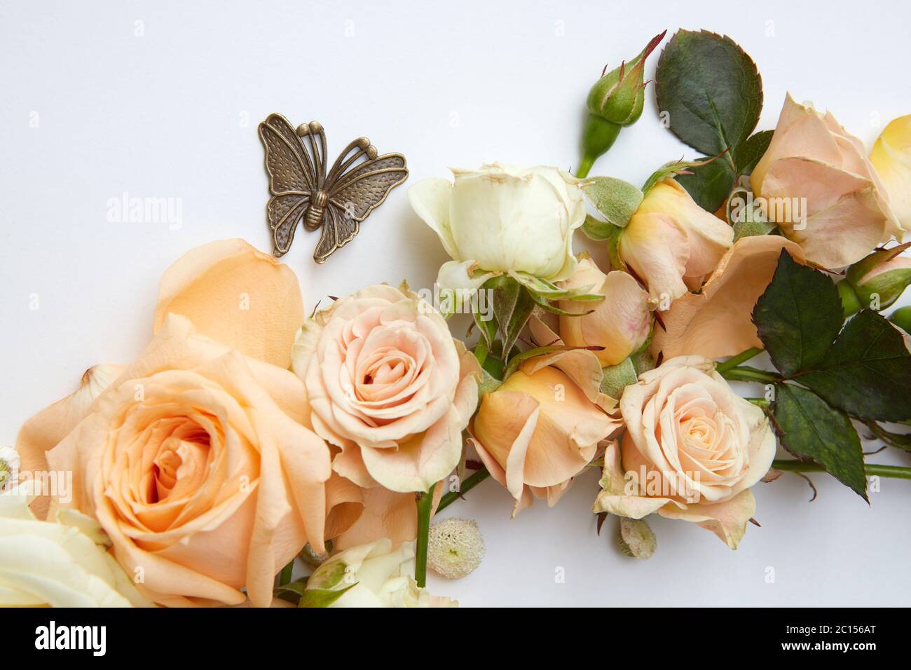 Orange Blumen Stockfoto