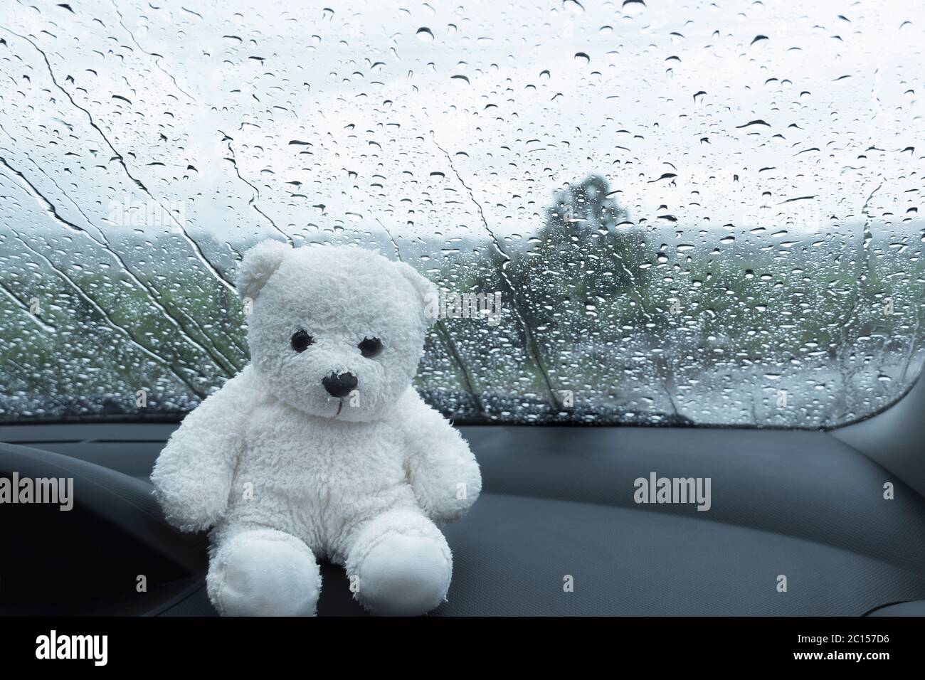 Einsame flauschige weiße Bär Puppe im Auto sitzen, während regnet Wetter mit Wassertropfen auf transparentem Glas Fenster Hintergrund Stockfoto