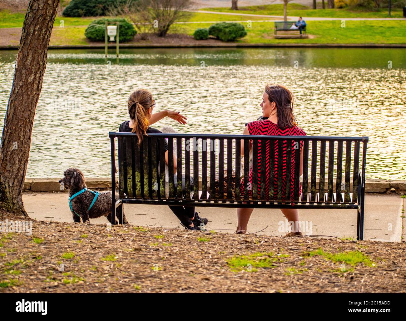 Charlotte, NC/USA - 24. März 2019: Zwei Freunde unterhalten sich und entspannen sich auf einer Parkbank an einem schönen Tag im Freedom Park neben einem großen flowin-Teich Stockfoto