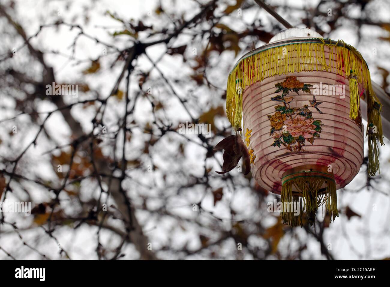 Dekorative chinesische Nachtlampe von Paper Stockfoto