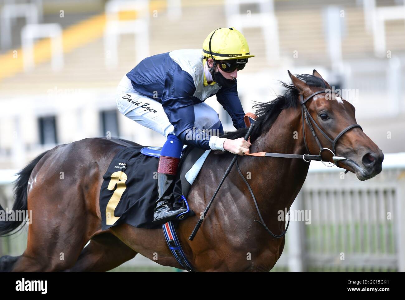 Apres Dark von David Egan geritten gewinnt die National Radio Bank British Hengst Studs EBF Novice Stakes auf Newmarket Racecourse. Stockfoto