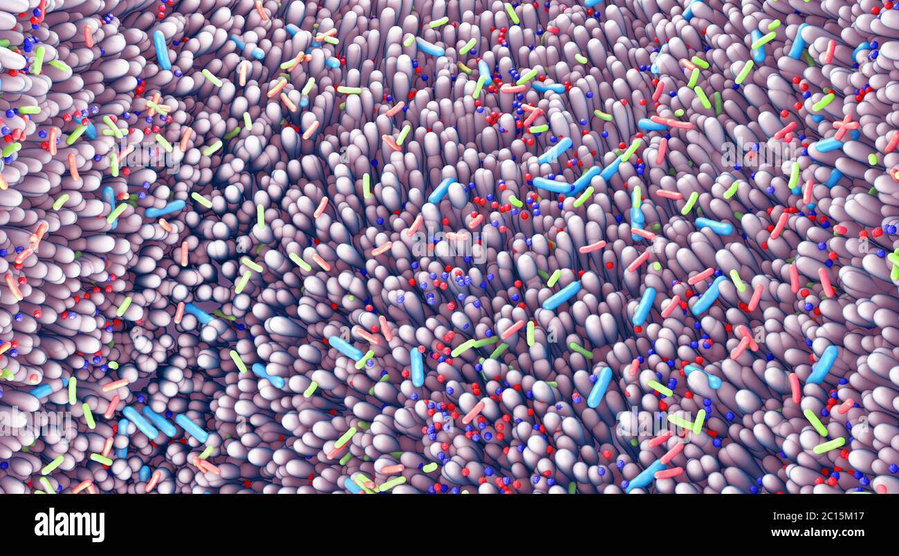 Verschiedene Keime im menschlichen Darm genannt Mikrobiom - 3d-Illustration Stockfoto