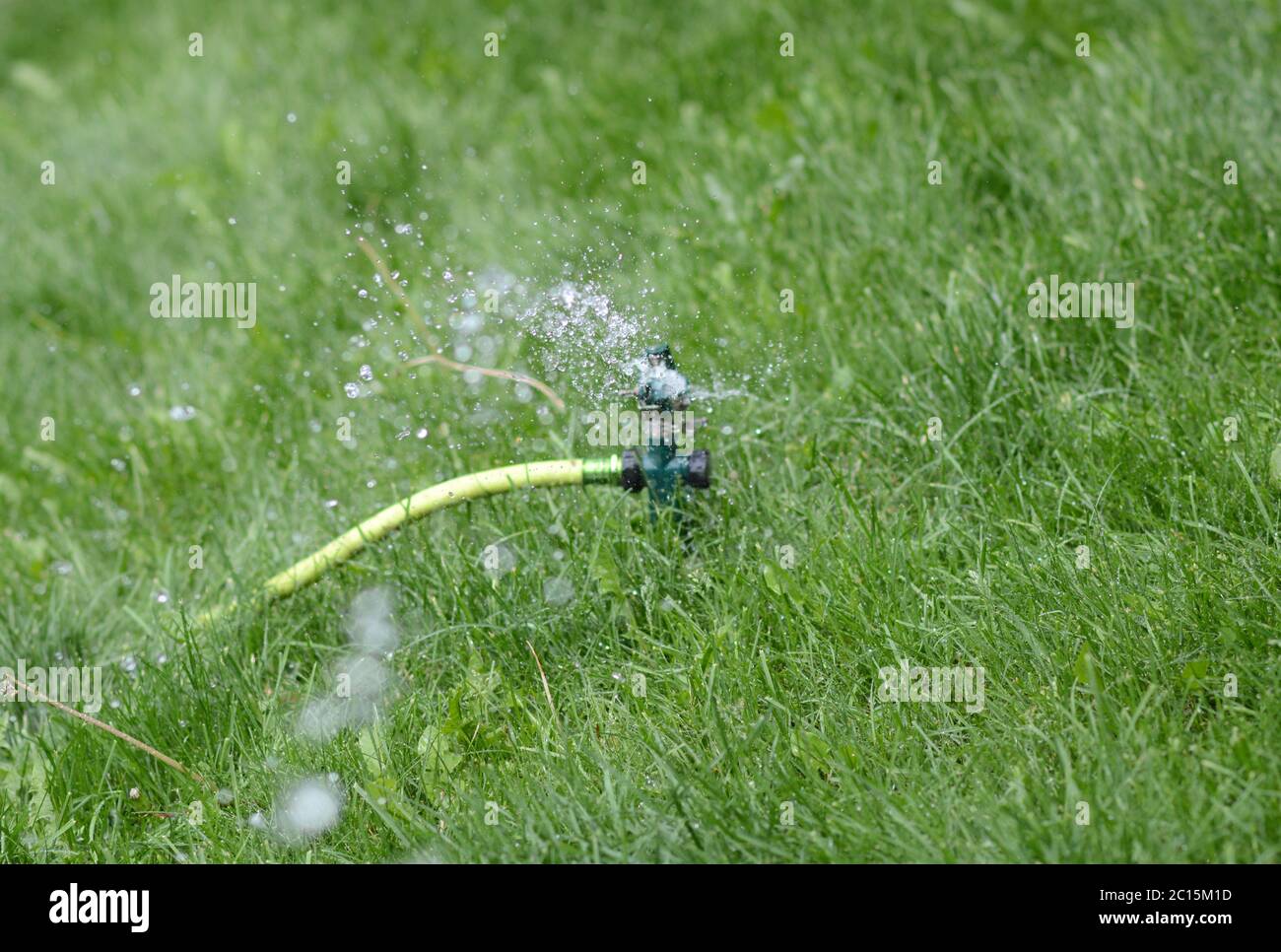 Nahaufnahme eines Rasenregners, der das Gras bewässert. Sommer. Stockfoto