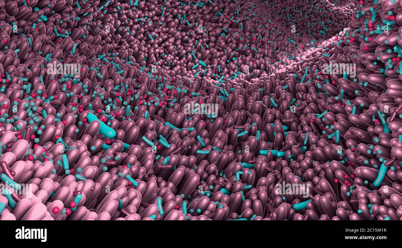 Verschiedene Keime im menschlichen Darm genannt Mikrobiom - 3d-Illustration Stockfoto