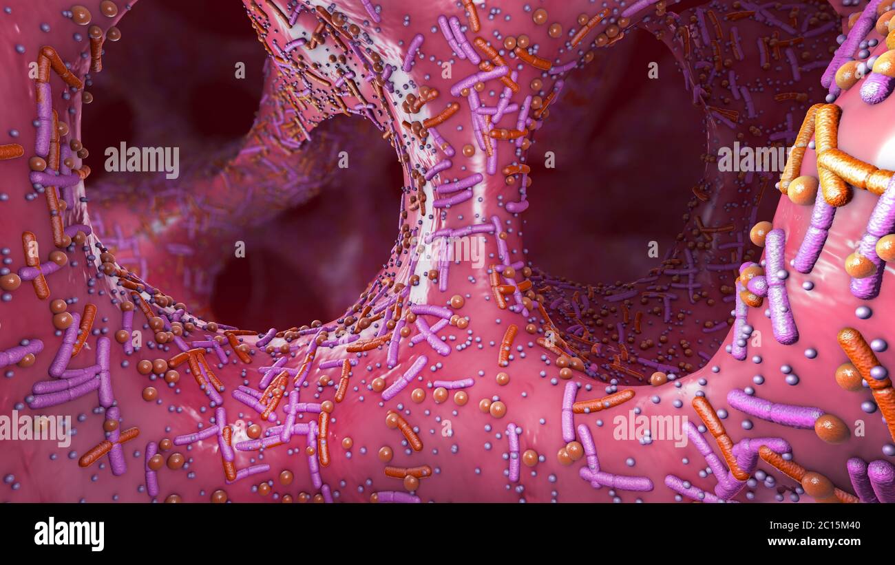 Verschiedene Keime im menschlichen Darm genannt microbiota - 3d-Illustration Stockfoto