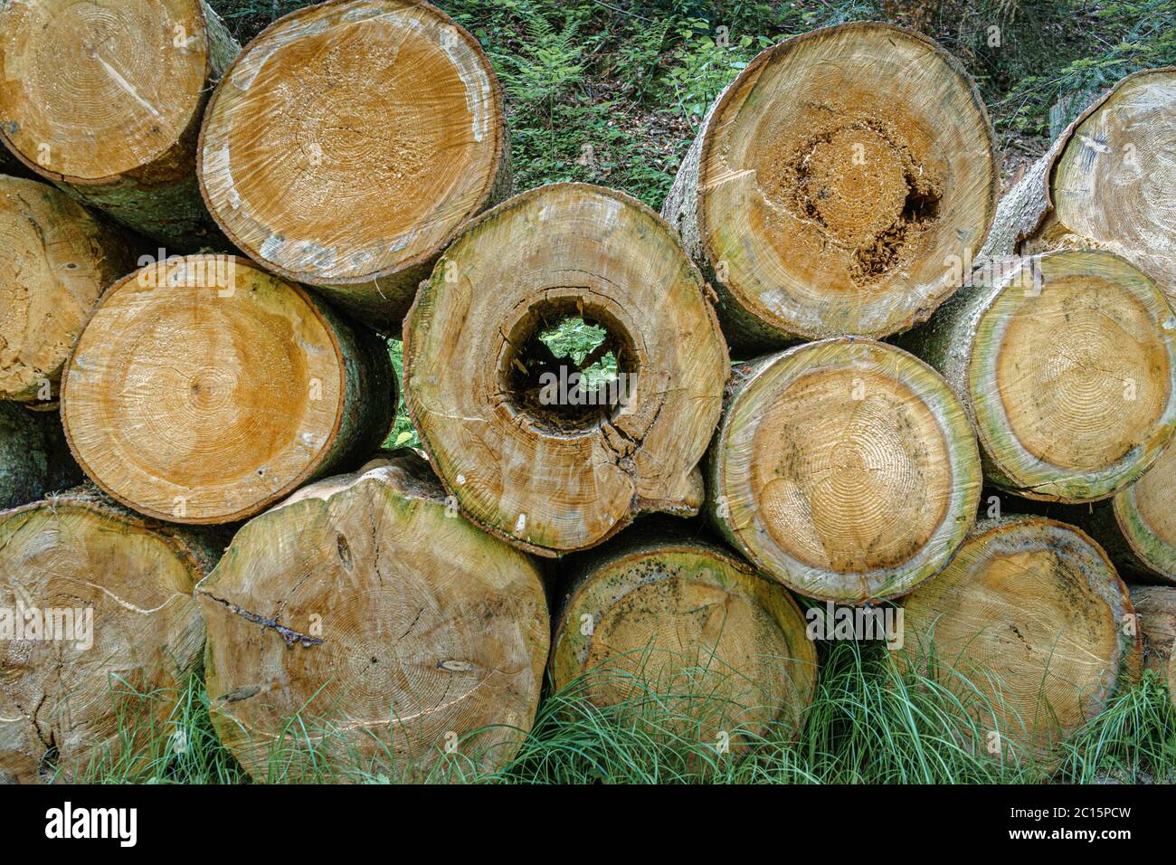 Baumstämme garten stapel Fotos und Bildmaterial in hoher Auflösung