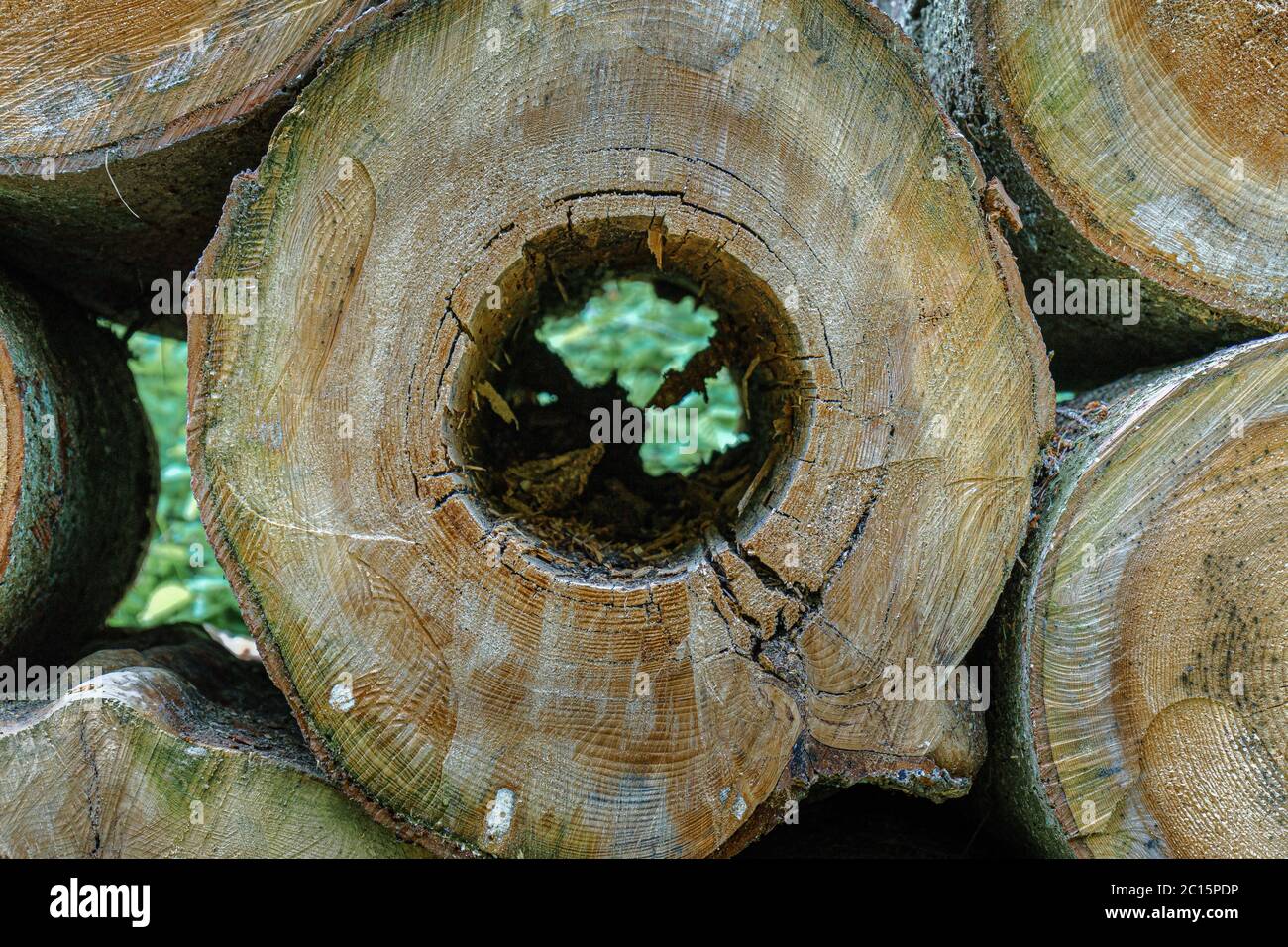 Baumstämme garten stapel Fotos und Bildmaterial in hoher Auflösung