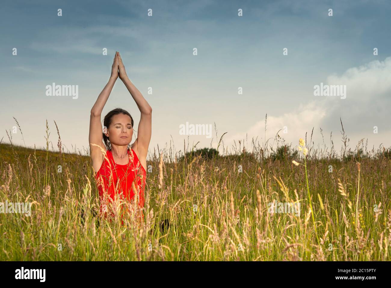 Frau praktiziert Yoga in einem Feld von wilden Blumen und Gras, gesunde Lebensweise Konzept. Stockfoto