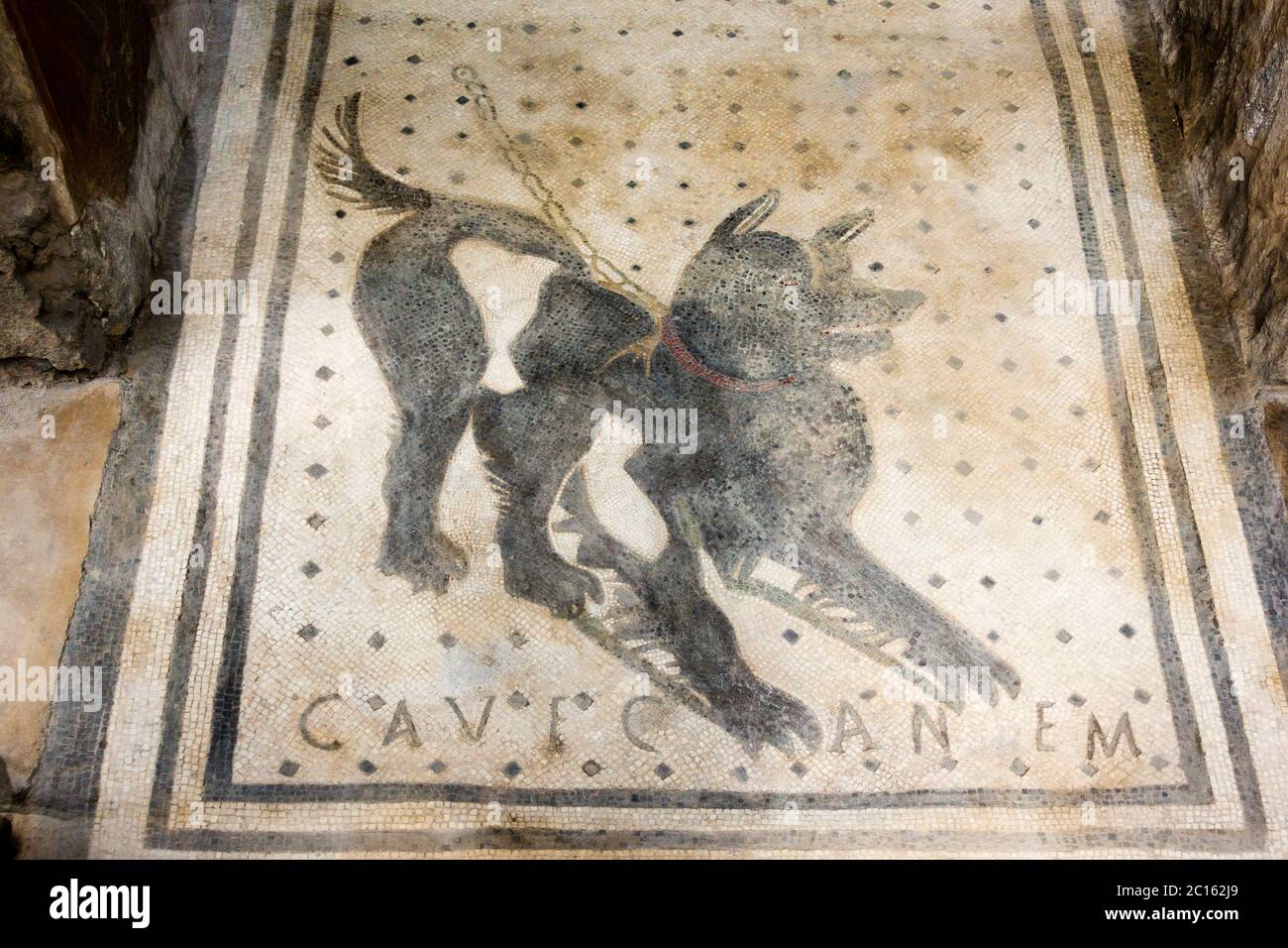 Cave Canem - Vorsicht vor dem Hund - Bodenmosaik in Latein im Vorraum des Hauses des tragischen Dichters in der antiken Stadt Pompeji, Italien Stockfoto