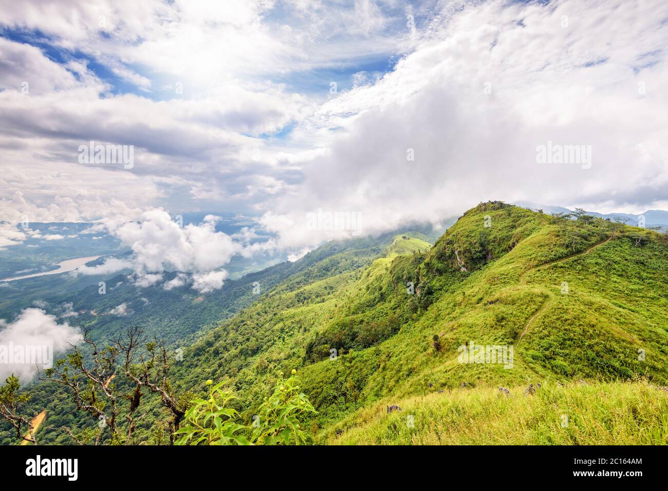 Landschaft bei Doi Pha Tang View Point Stockfoto