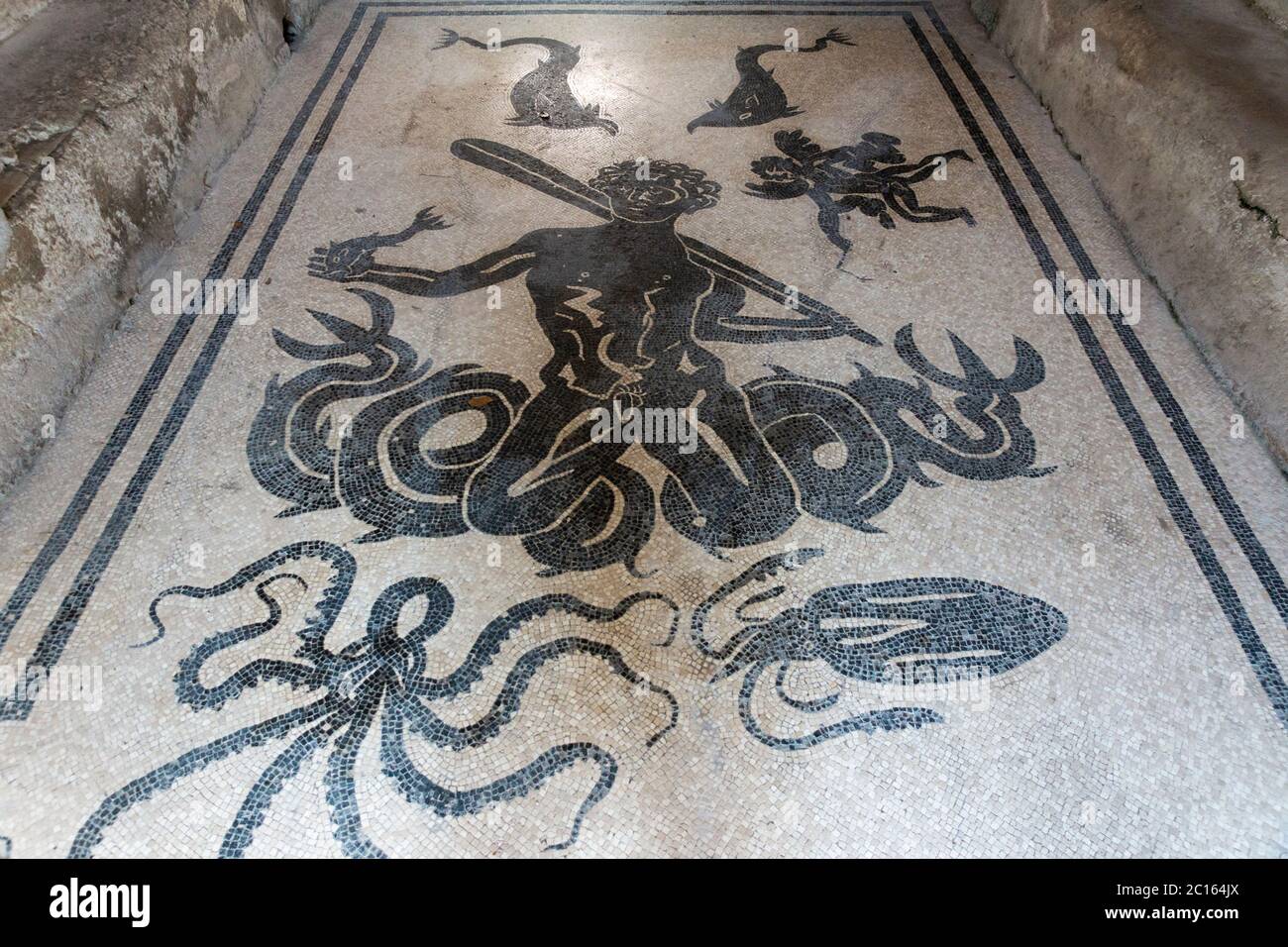 Marine thematische Mosaik von Triton, Sohn des Neptun, Frauen Umkleideraum (Apodyterium) in der Central Thermae in der antiken Stadt Herculaneum, Italien Stockfoto