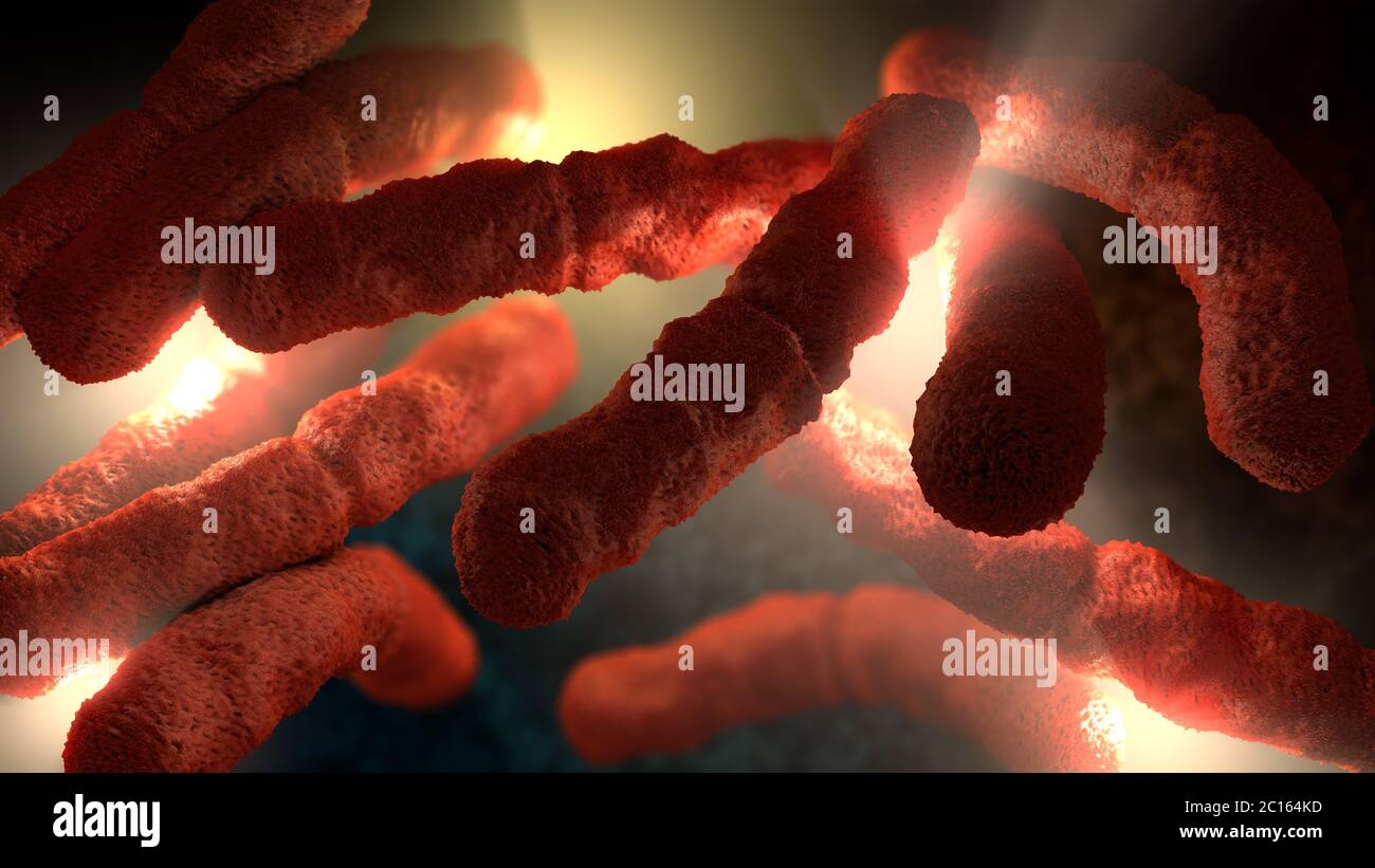 3D-Darstellung eines extremen Nahaufnahmen der rot gefärbten stabförmige Bakterien Stockfoto