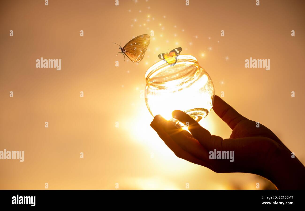 Das Mädchen befreit die Schmetterling aus dem Glas, golden Blue moment Begriff der Freiheit Stockfoto