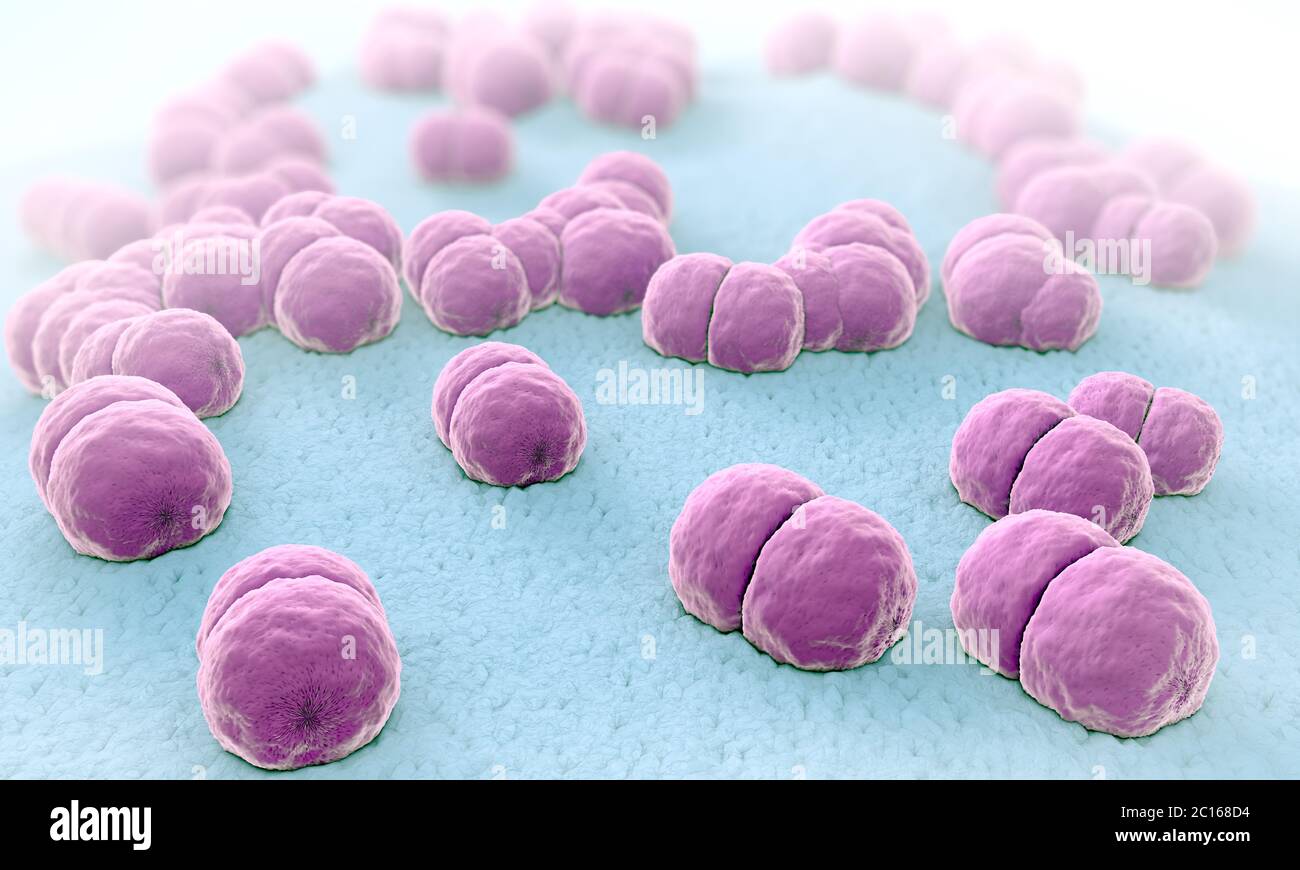 3D-Darstellung von Hunderten von Meningitis Erreger namens menigococcus Stockfoto