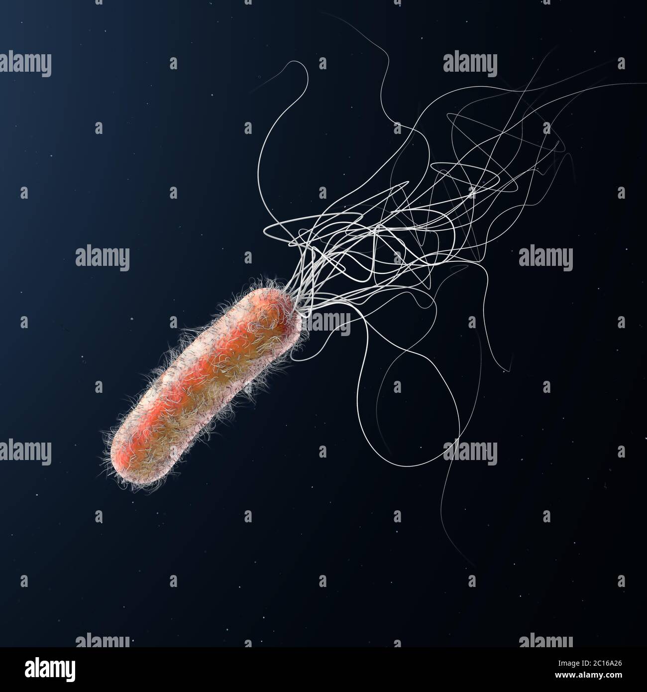 Antibiotika fleck Fotos und Bildmaterial in hoher Auflösung Alamy